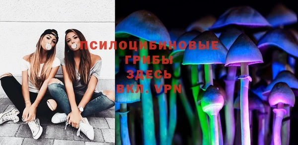 трава Бронницы