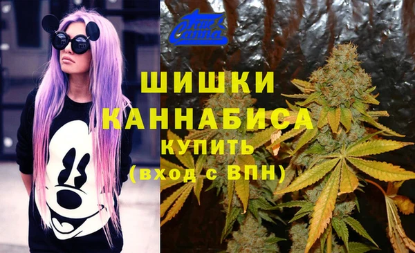 mdma Богородск