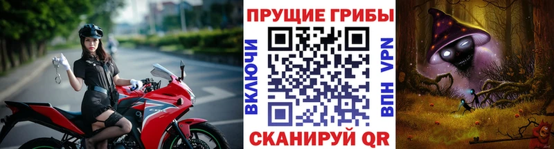 Псилоцибиновые грибы прущие грибы  Купить закладки  Курганинск 