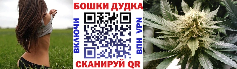 Купить где  Курганинск  Бошки марихуана SATIVA & INDICA 